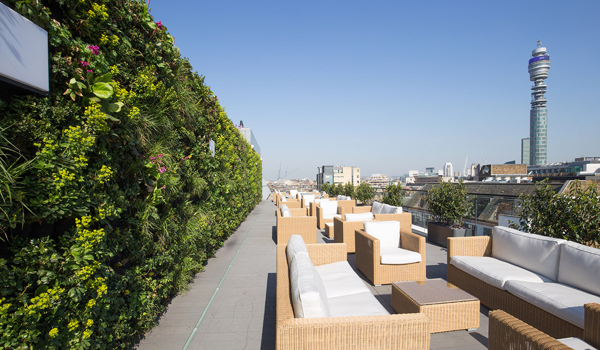 Communal roof terrace at 55 Wells Street